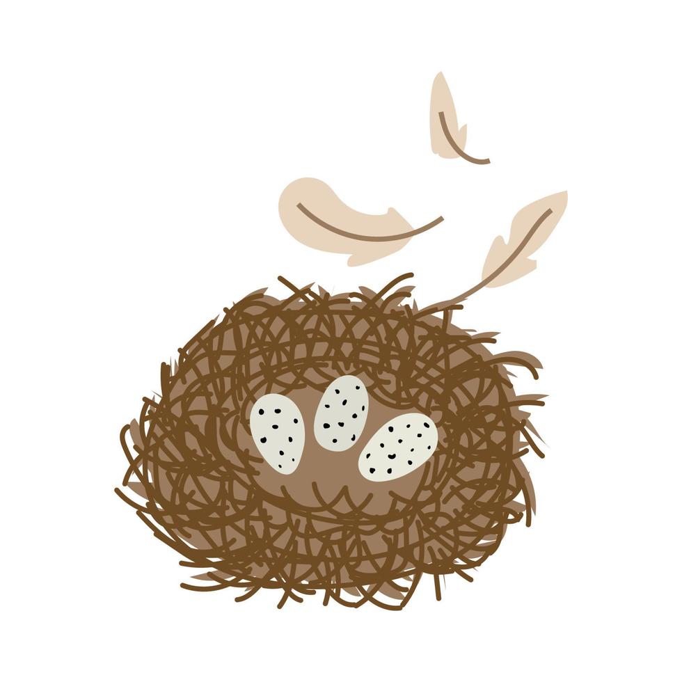 Bird nest with eggs and feathers. Vector illustration.