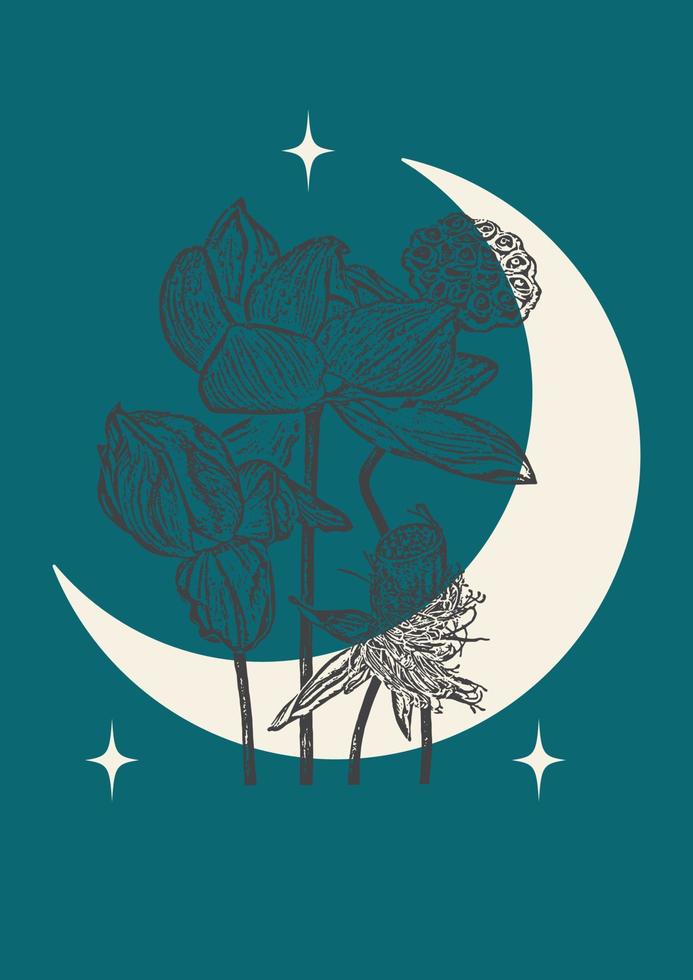 loto flor místico póster botánico ilustración. póster en grabado estilo. saludo tarjeta y invitación diseño vector