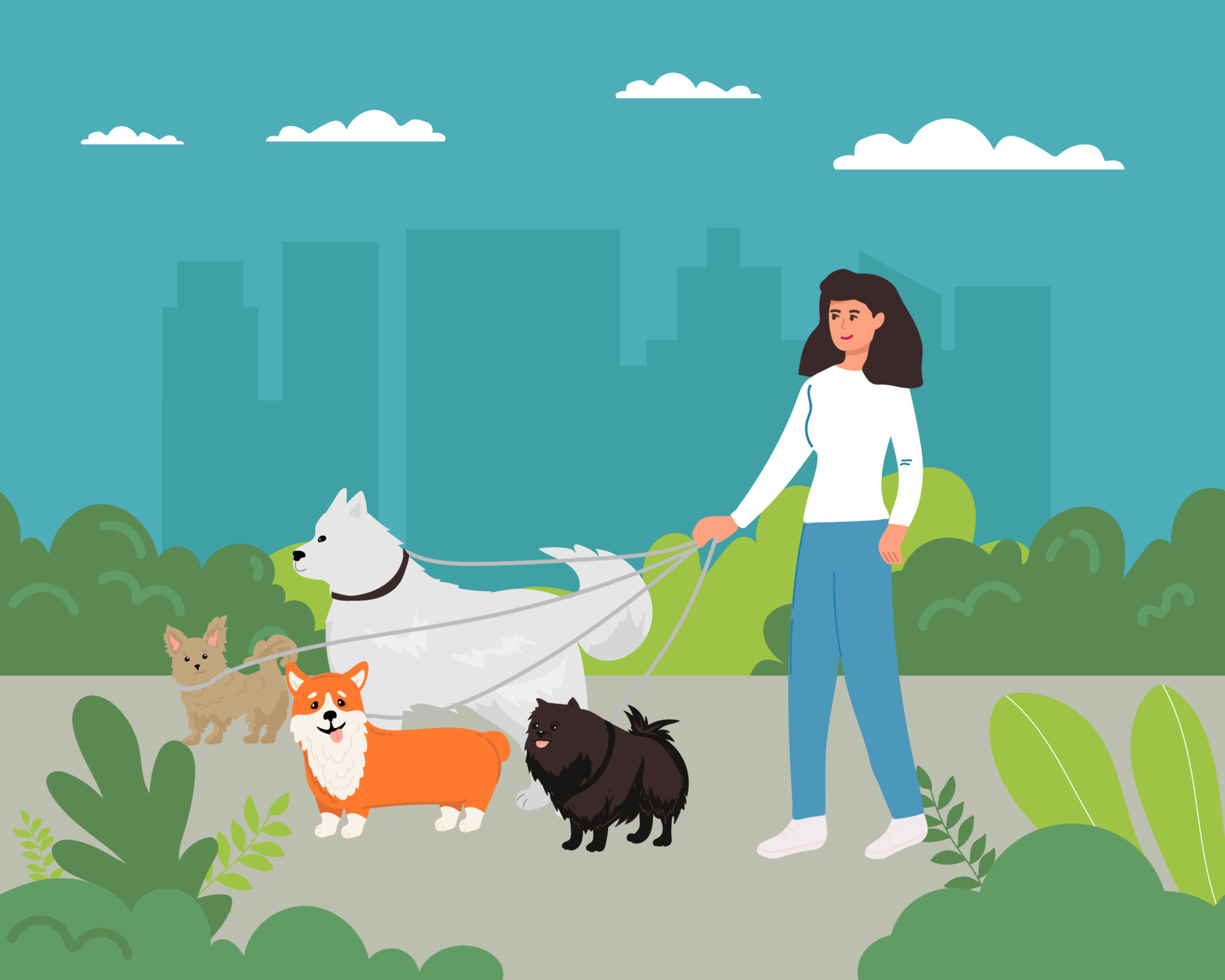 dog walking. Walks a lot of dogs down the street Dog walkers. Vector