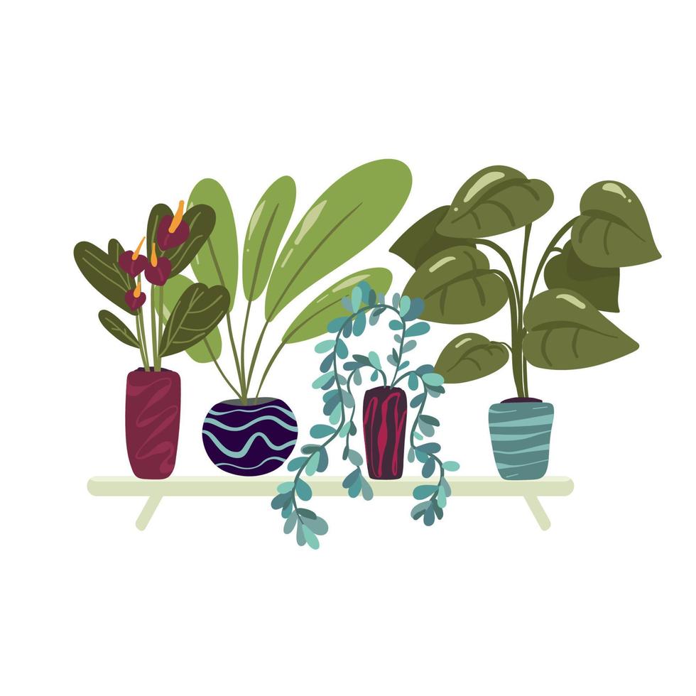 Organic flat houseplant collection Vector illustration. Isolated on white,