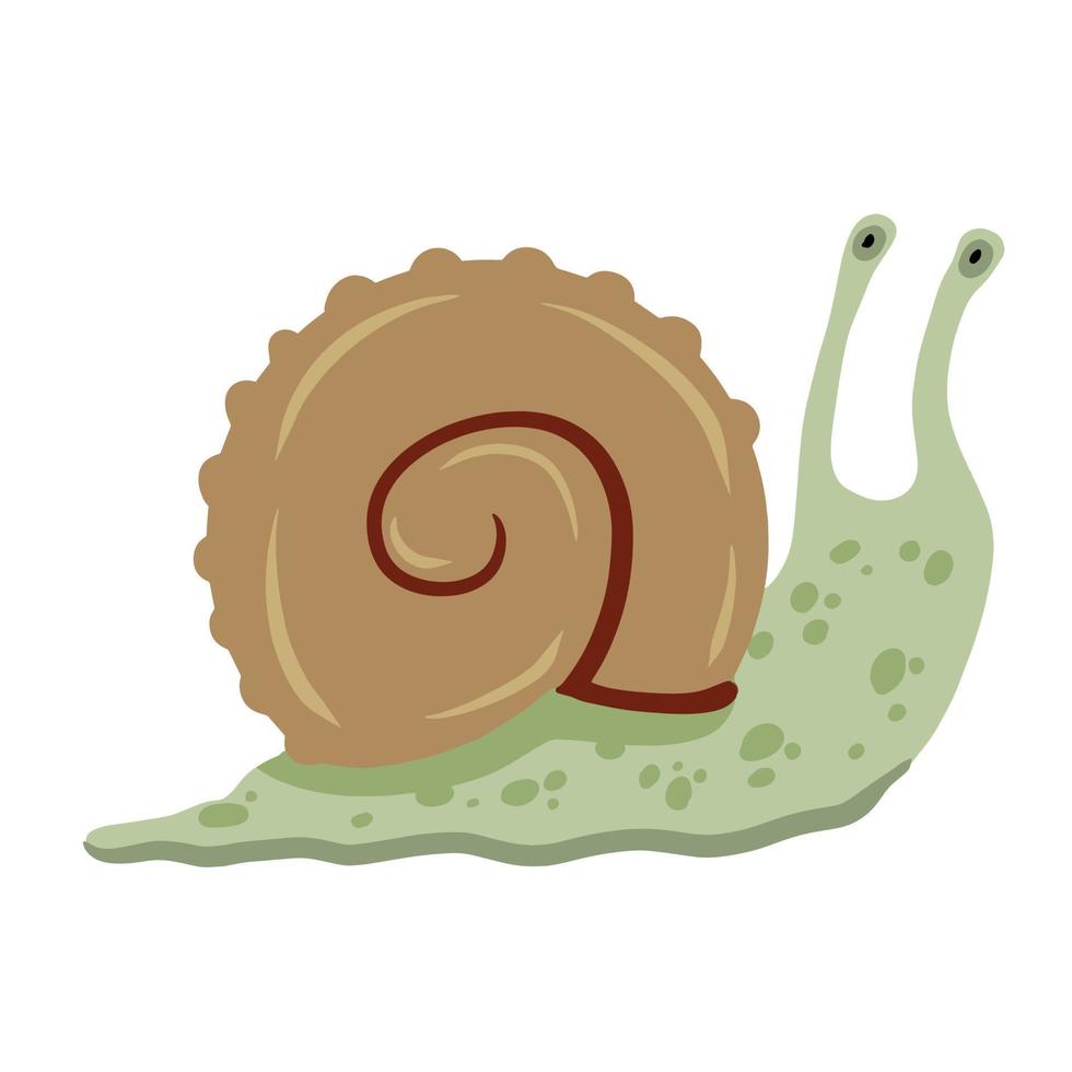 Spiral shell of snail or mollusk. Simple doodle cartoon illustration. Decoration of aquarium and nature. vector