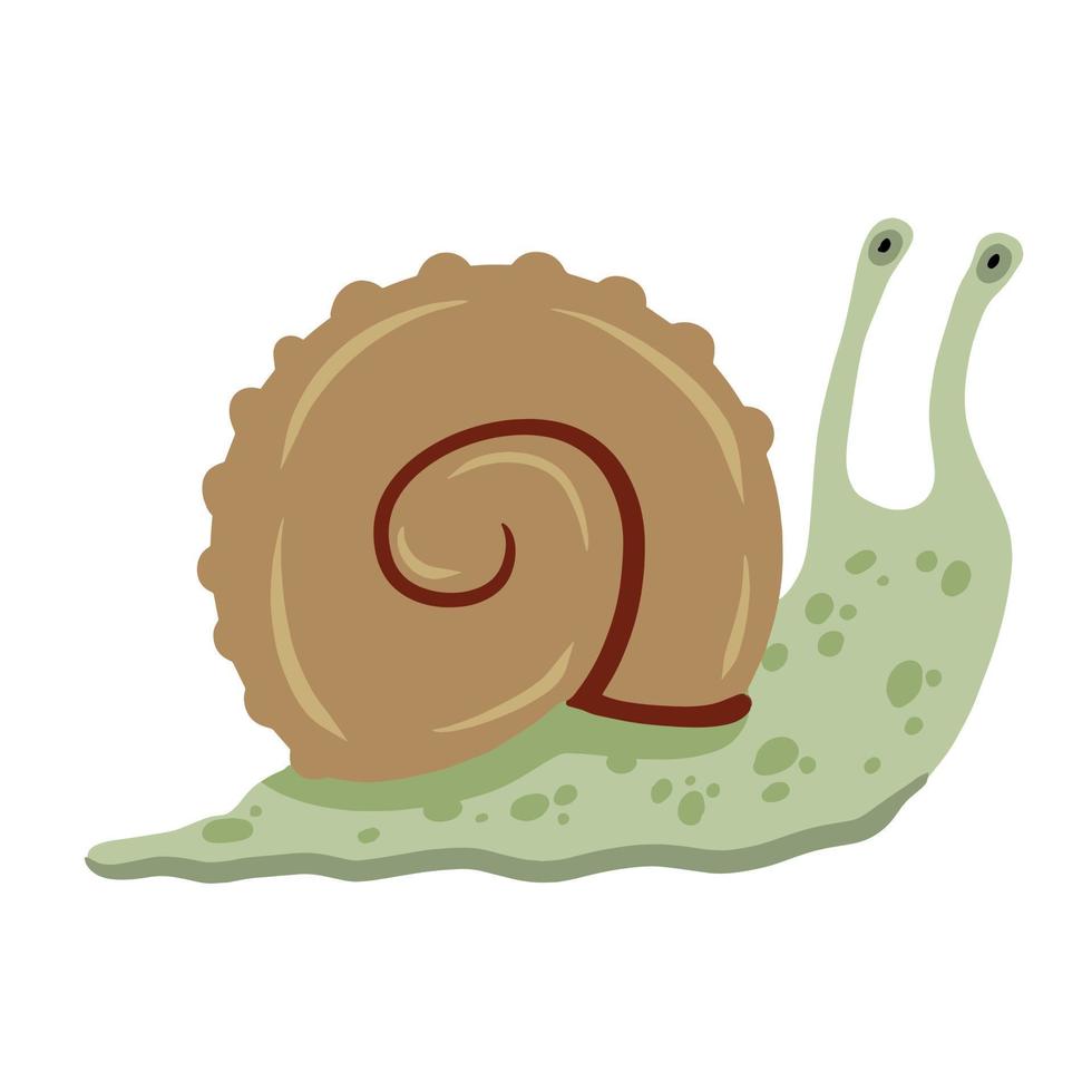 Spiral shell of snail or mollusk. Simple doodle cartoon illustration. Decoration of aquarium and nature. vector