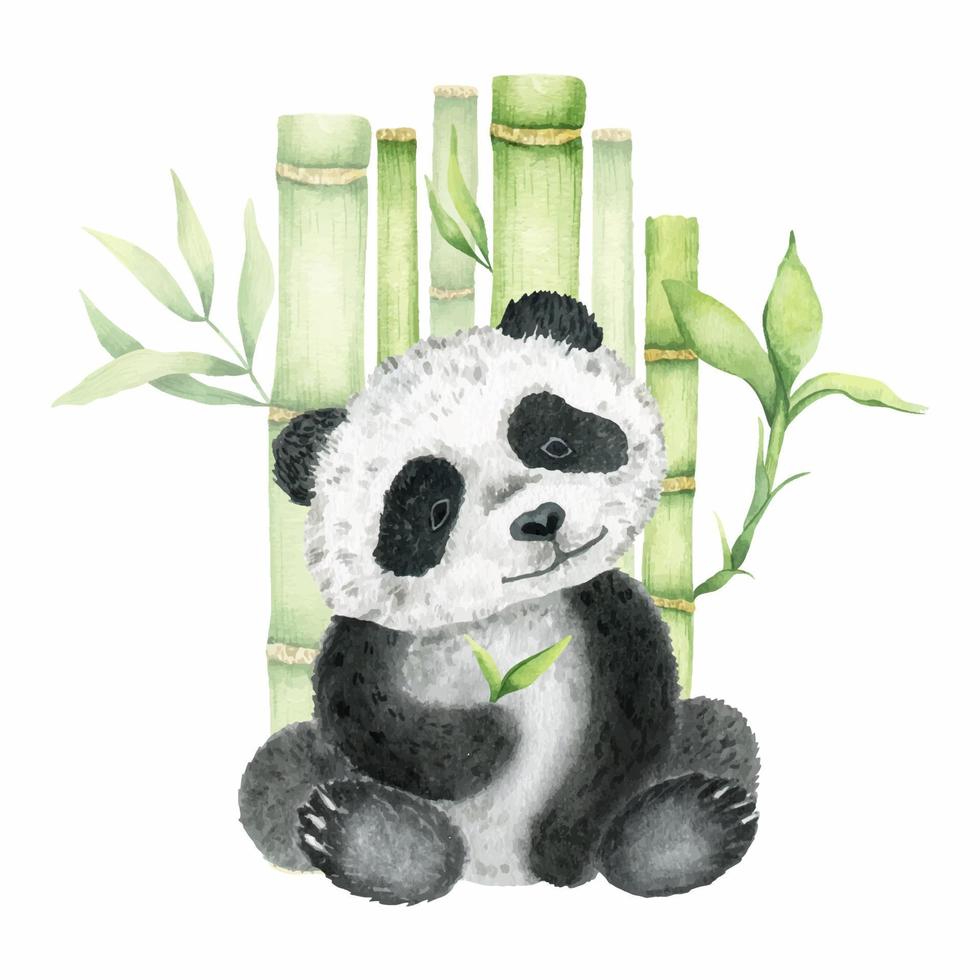 Cute sit panda. isolated on a white background. Watercolor illustration. Animal of the wild. vector