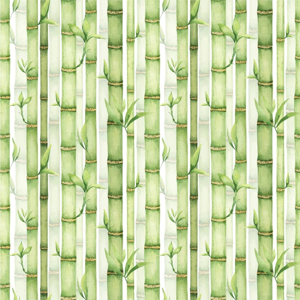 WebBamboo stems and leaves. Bamboo forest. A wall of bamboo trees. Watercolor seamless pattern. Asian culture. For textiles, packaging, wallpaper, postcards. vector