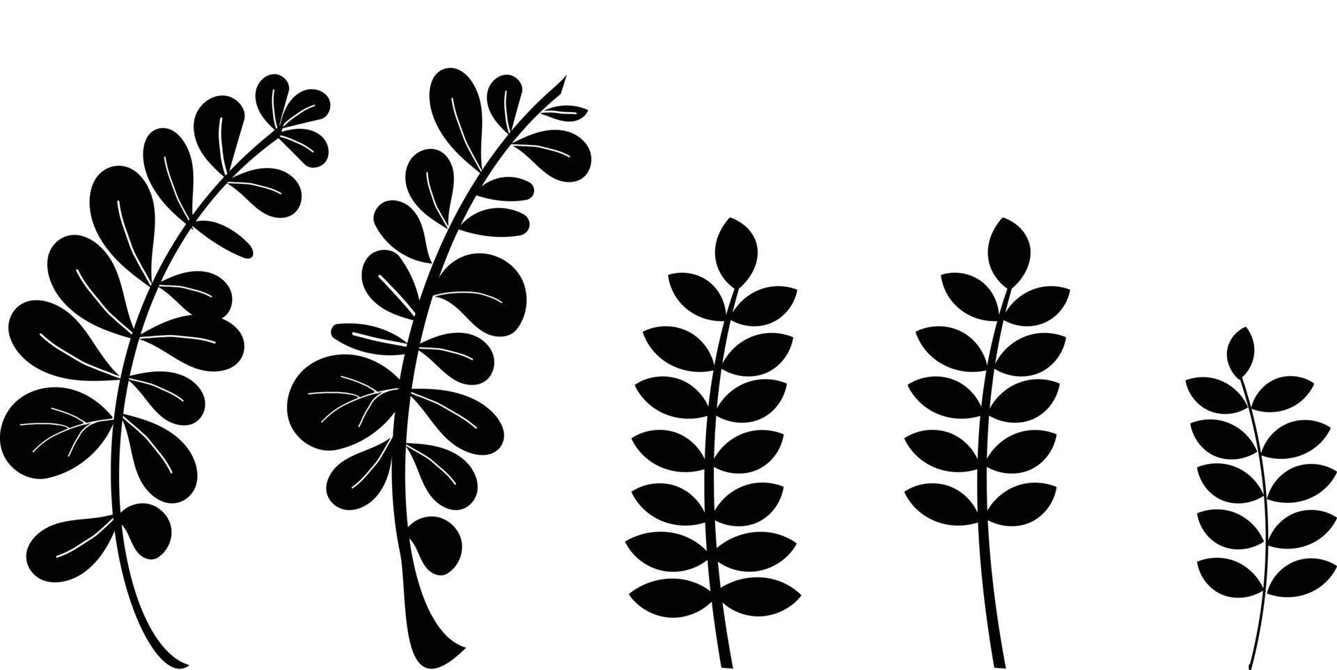 A set of abstract leaves. Elements of vector design.