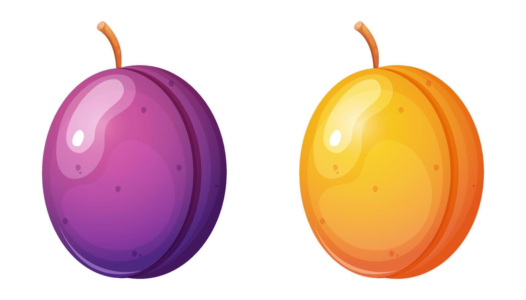 Plum and apricot cartoon style vector illustration.