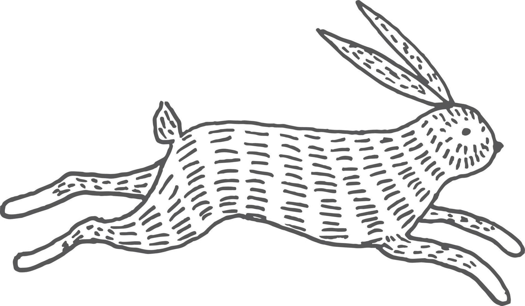 Hand drawn style line drawing illustration abstract rabbit vector