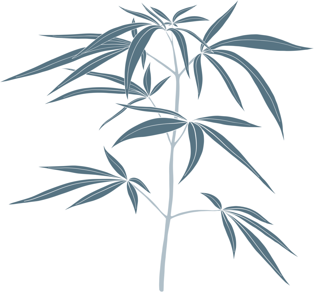 simplicity cannabis plant freehand drawing. png