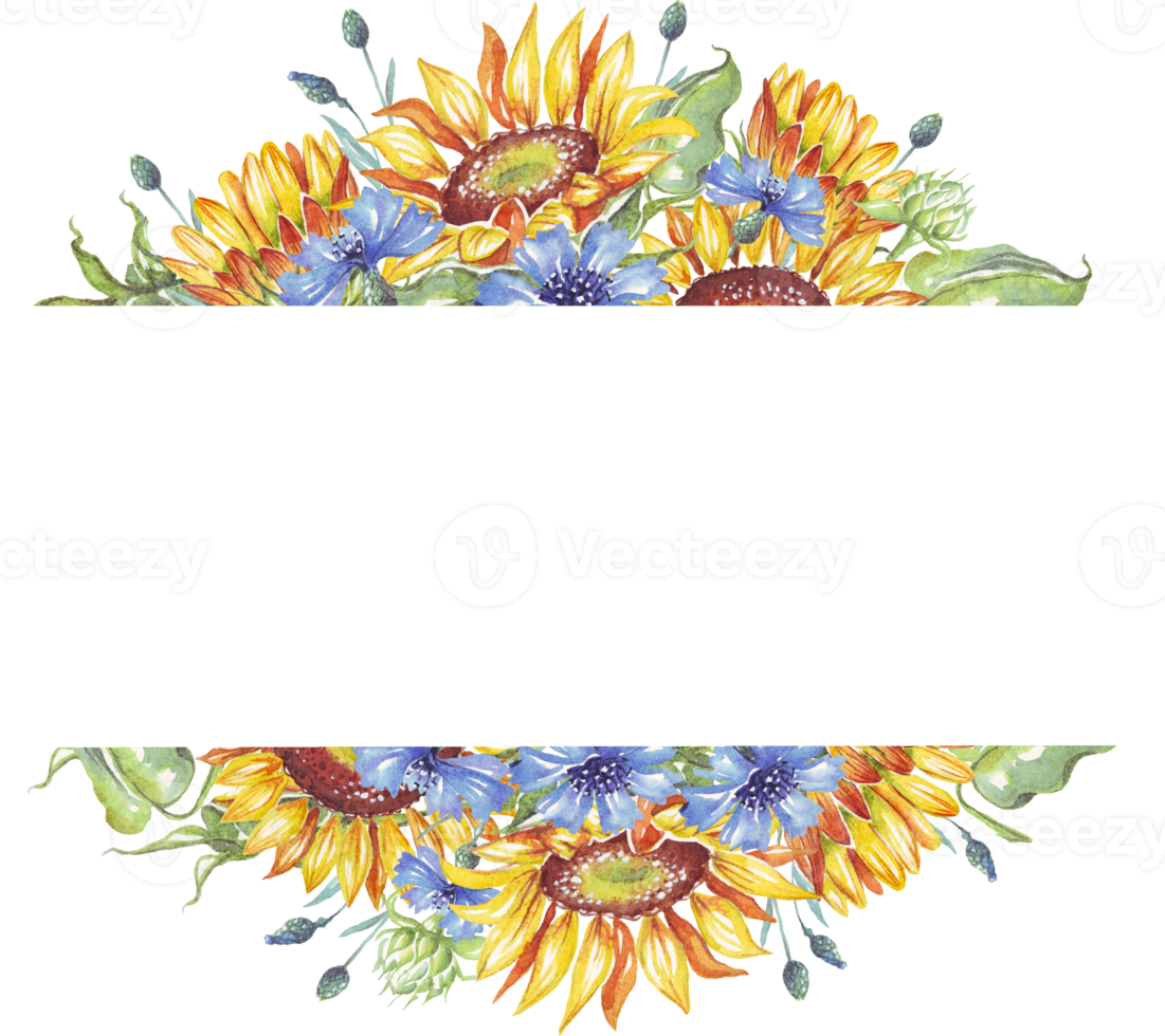 Frame. Watercolor sunflowers, cornflowers png