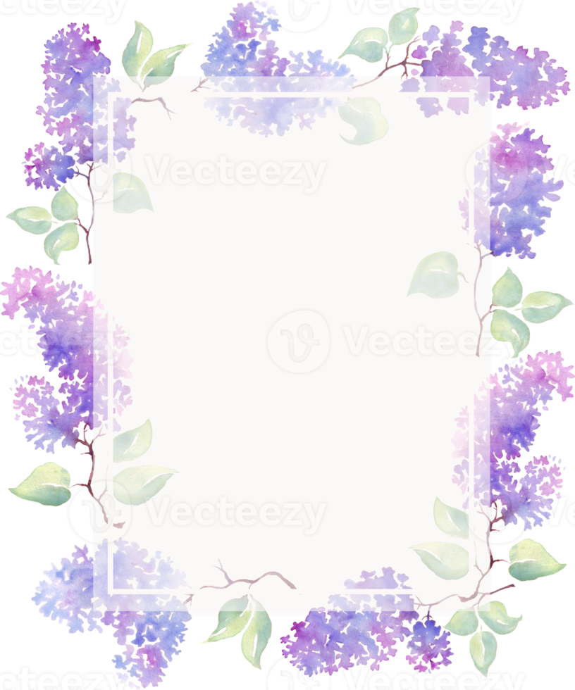 Lilac frame. Watercolor illustration. Hand-painted png