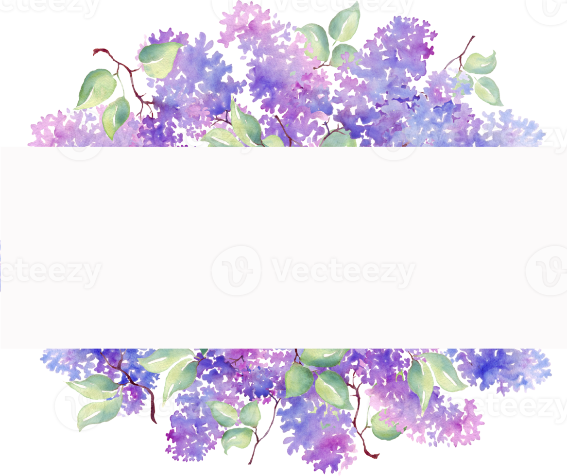 Lilac frame. Watercolor illustration. Hand-painted png