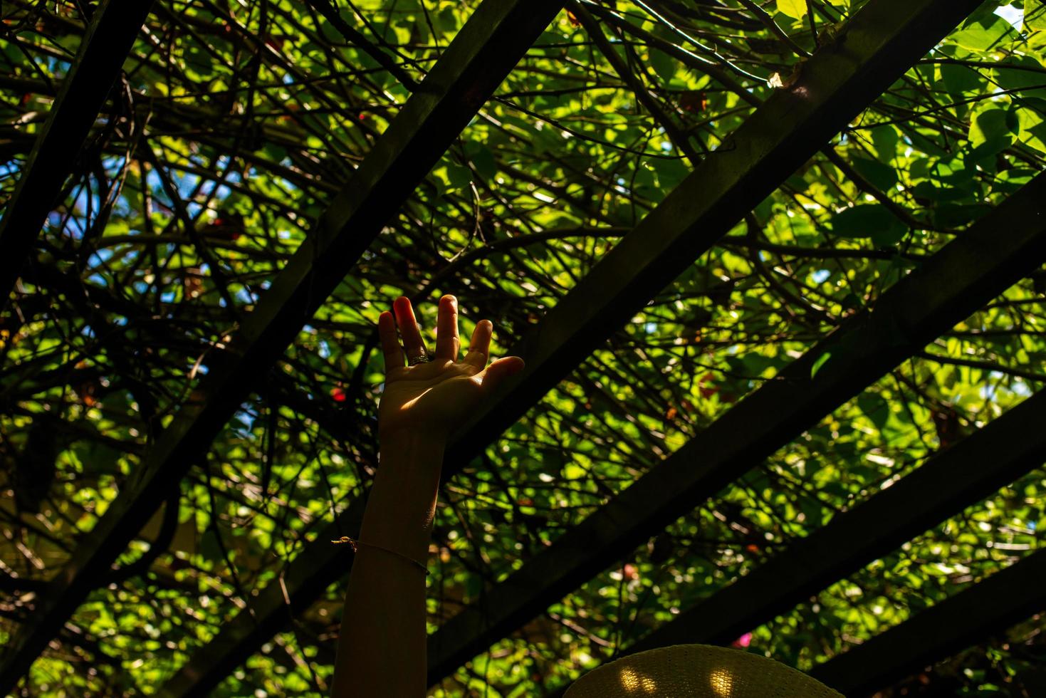 Sun beam with flare under the shade of trees and hand. photo