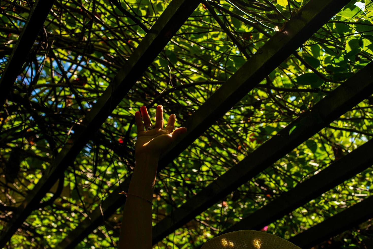 Dom haz con llamarada debajo el sombra de arboles y mano. foto