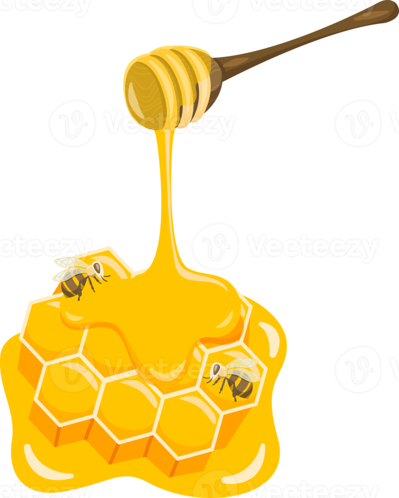 Bee and honey collections png