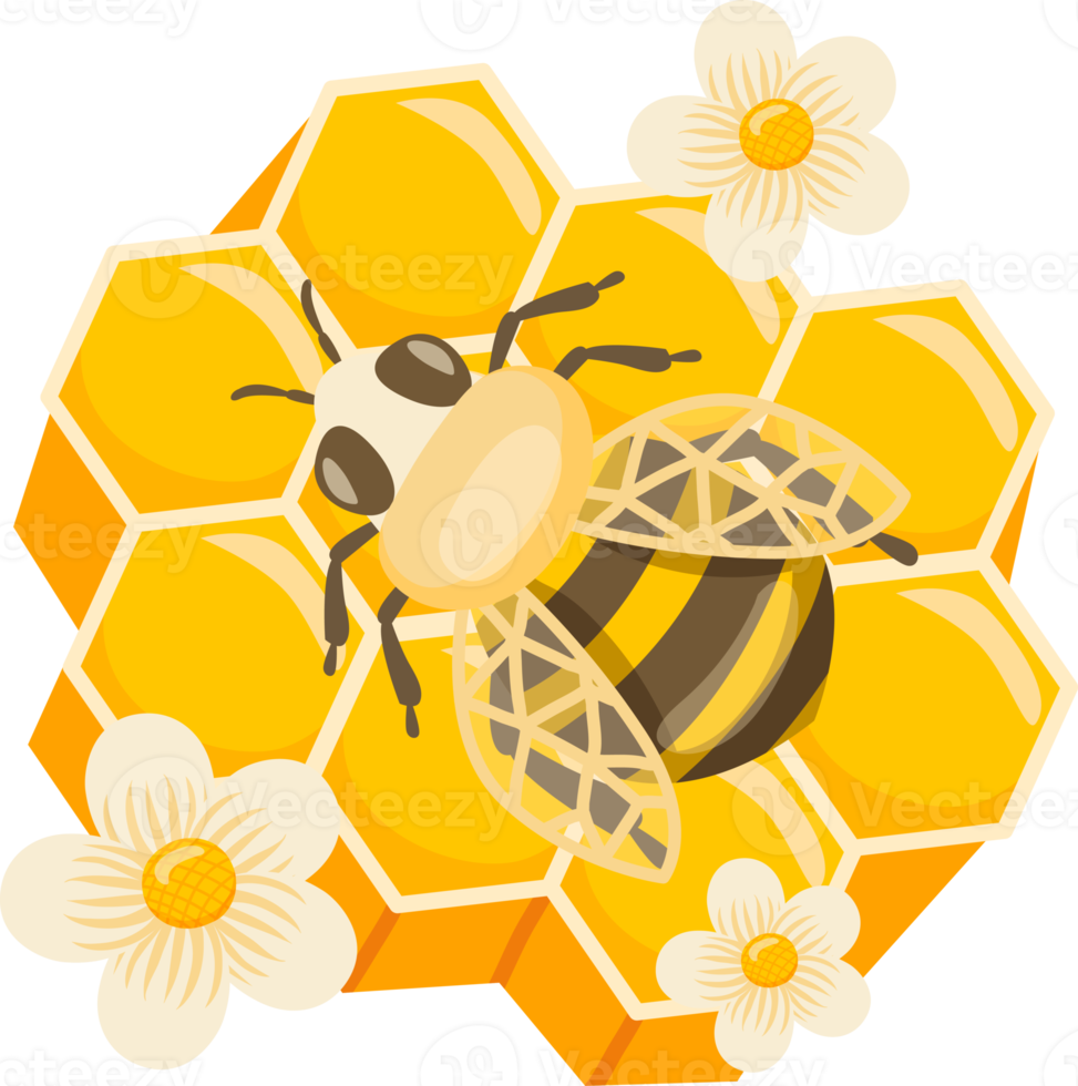 Bee and honey collections png