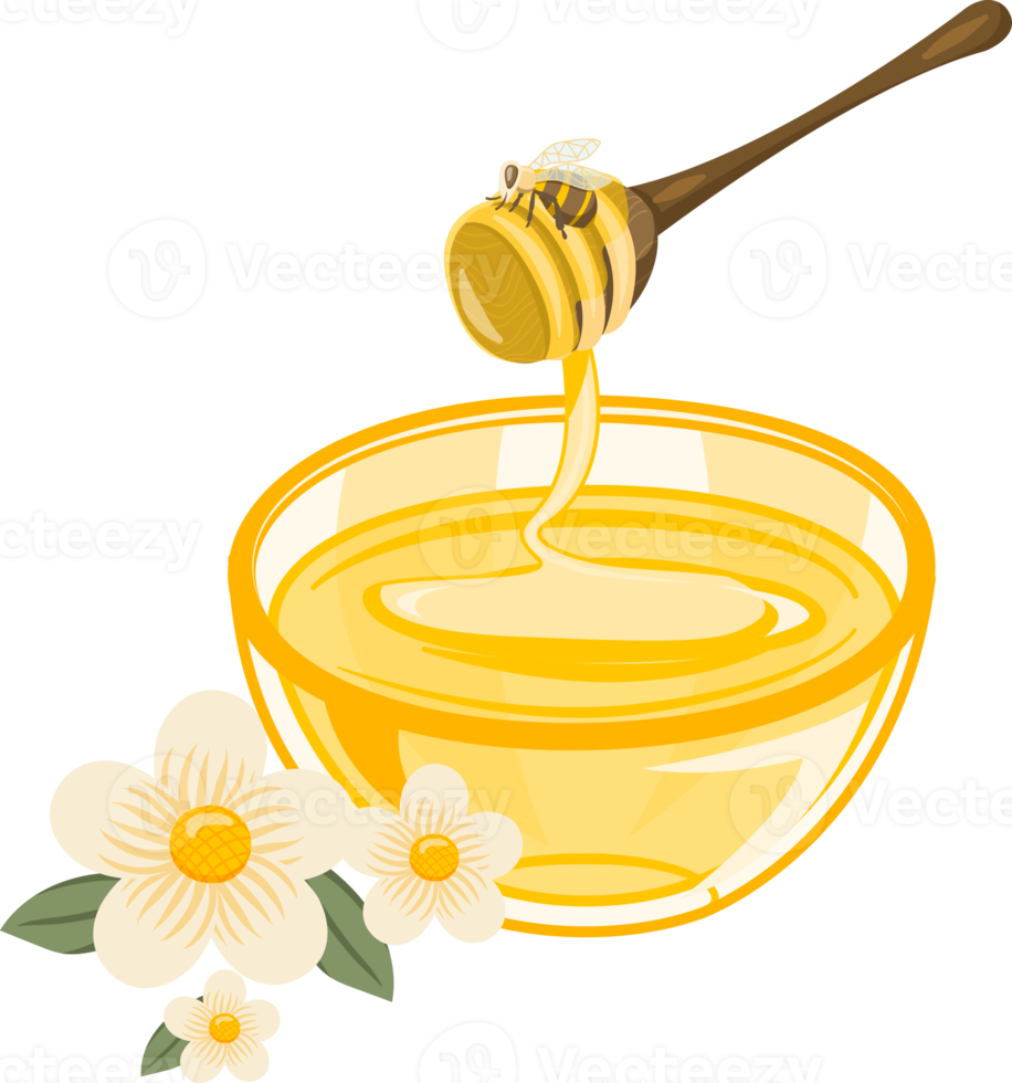 Bee and honey collections png