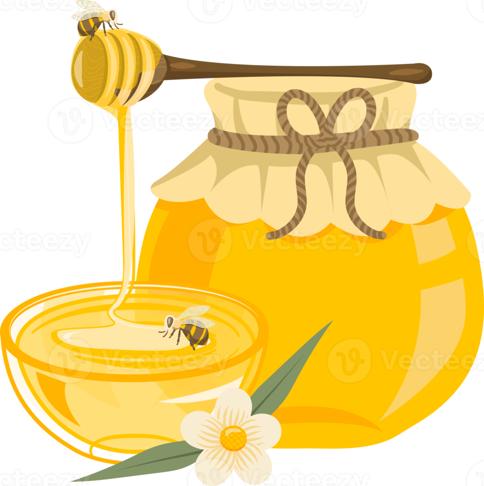 Bee and honey collections png