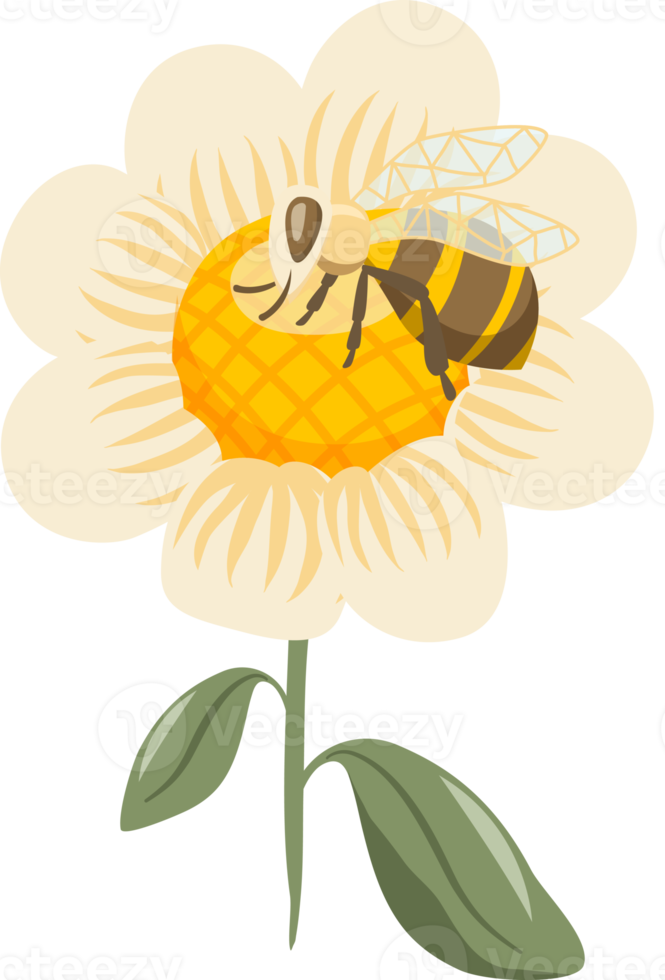 abeja y miel colecciones png