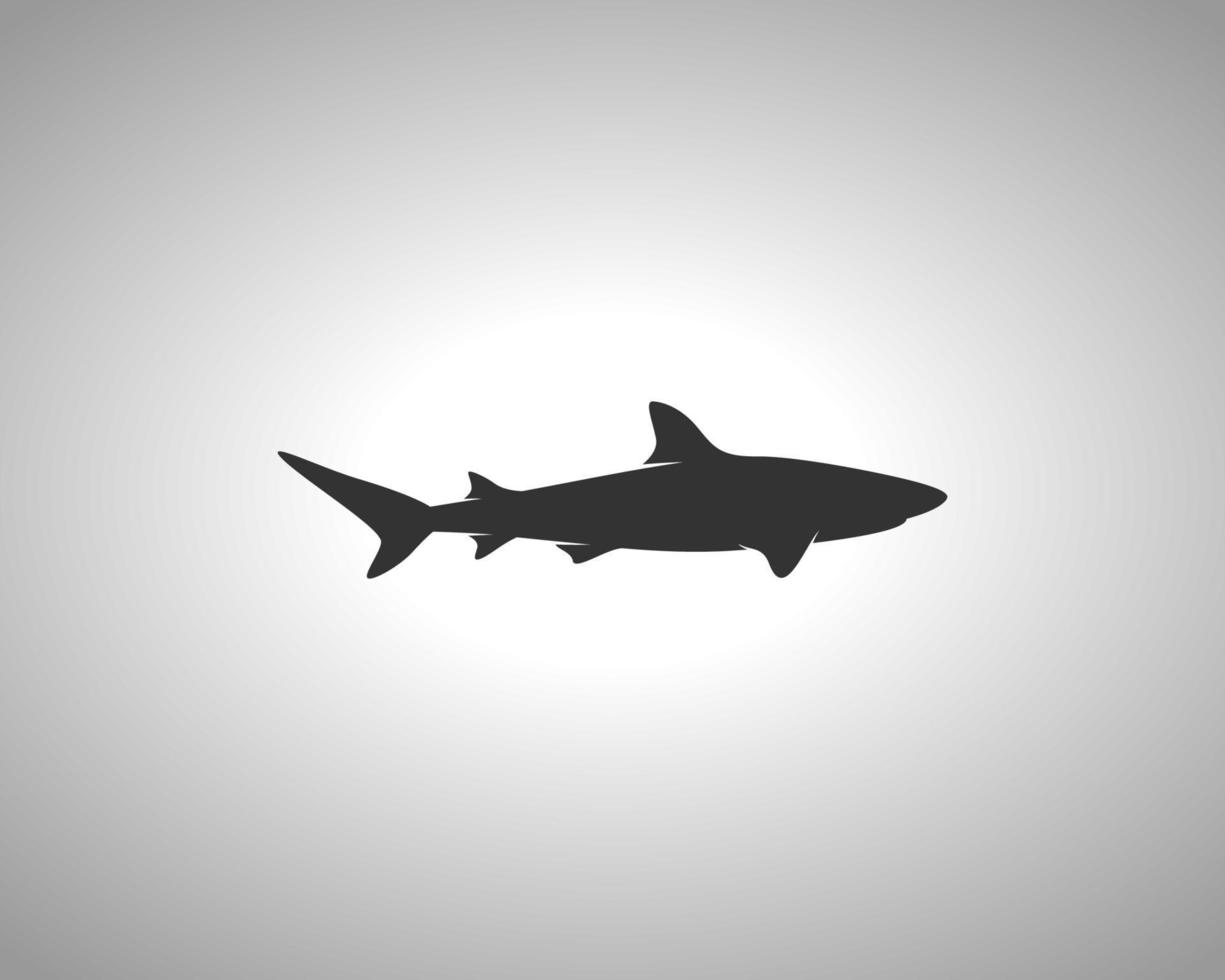 Shark Animal Silhouette vector