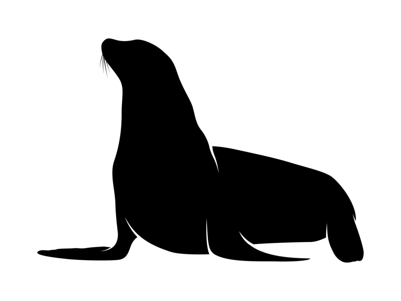 Seals Animal silhouette vector