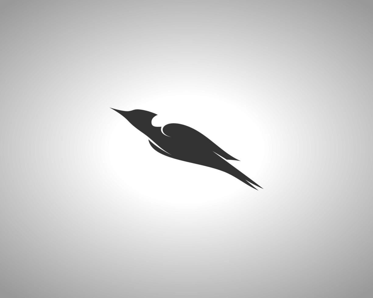 pájaro carpintero vector silueta