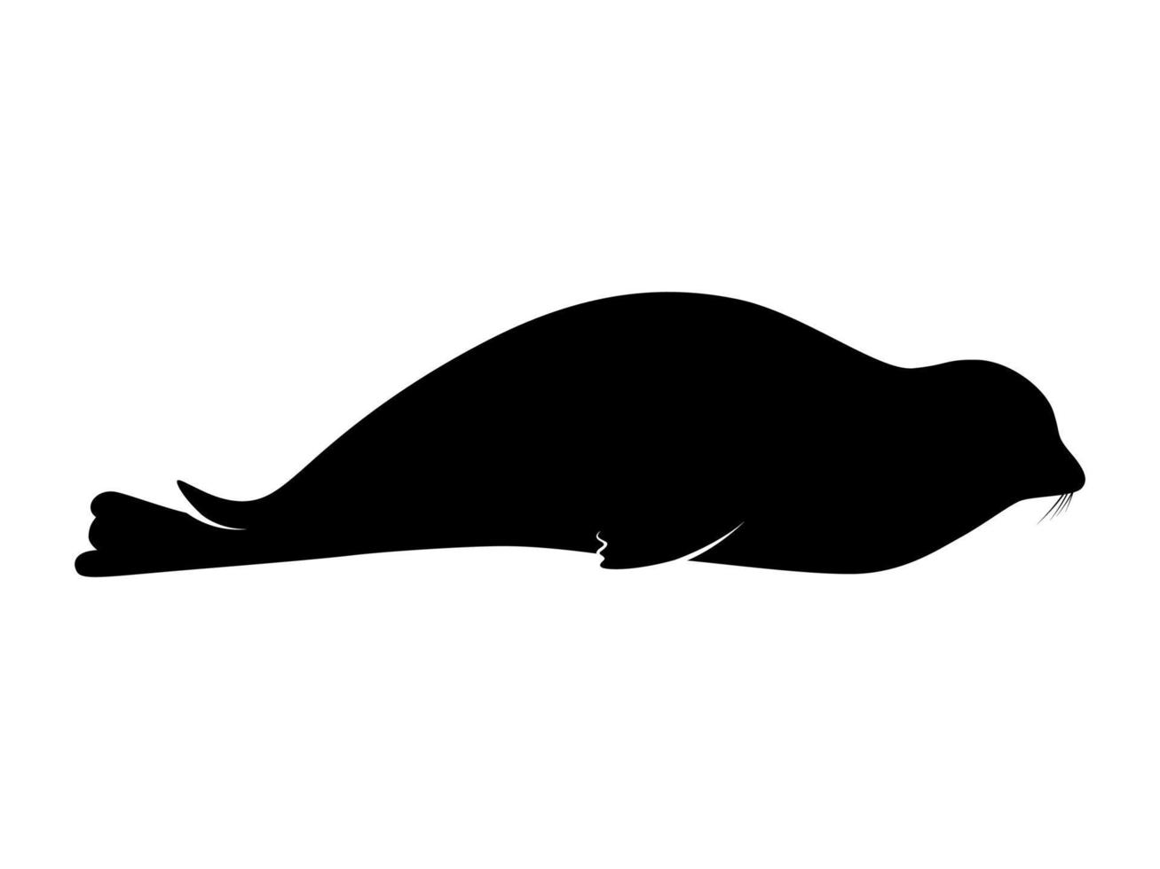 Seals Animal silhouette vector