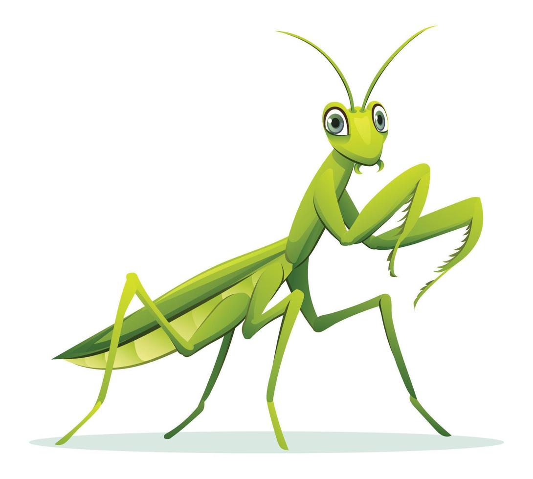 Cute praying mantis cartoon illustration isolated on white background vector