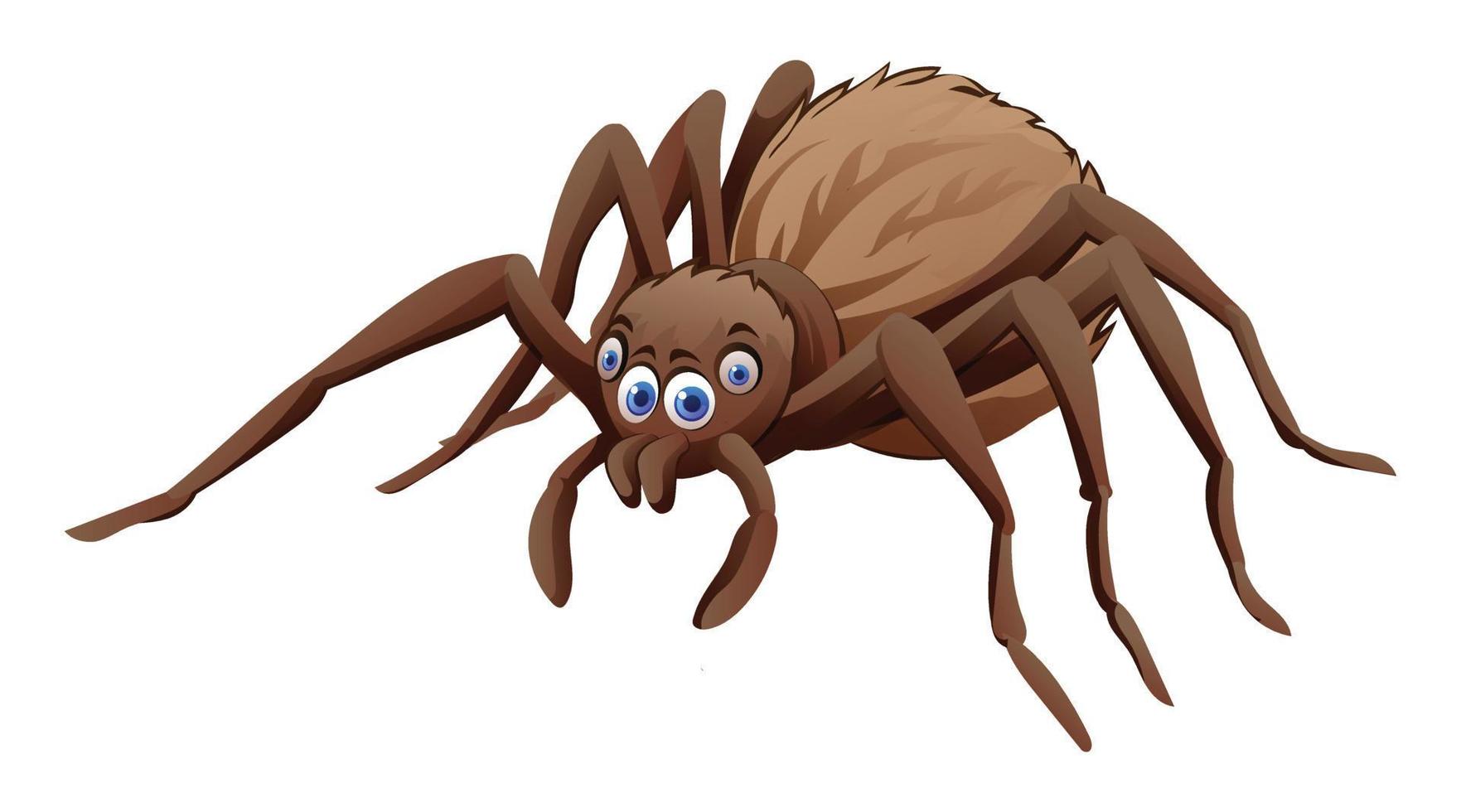 Cute spider cartoon illustration isolated on white background vector