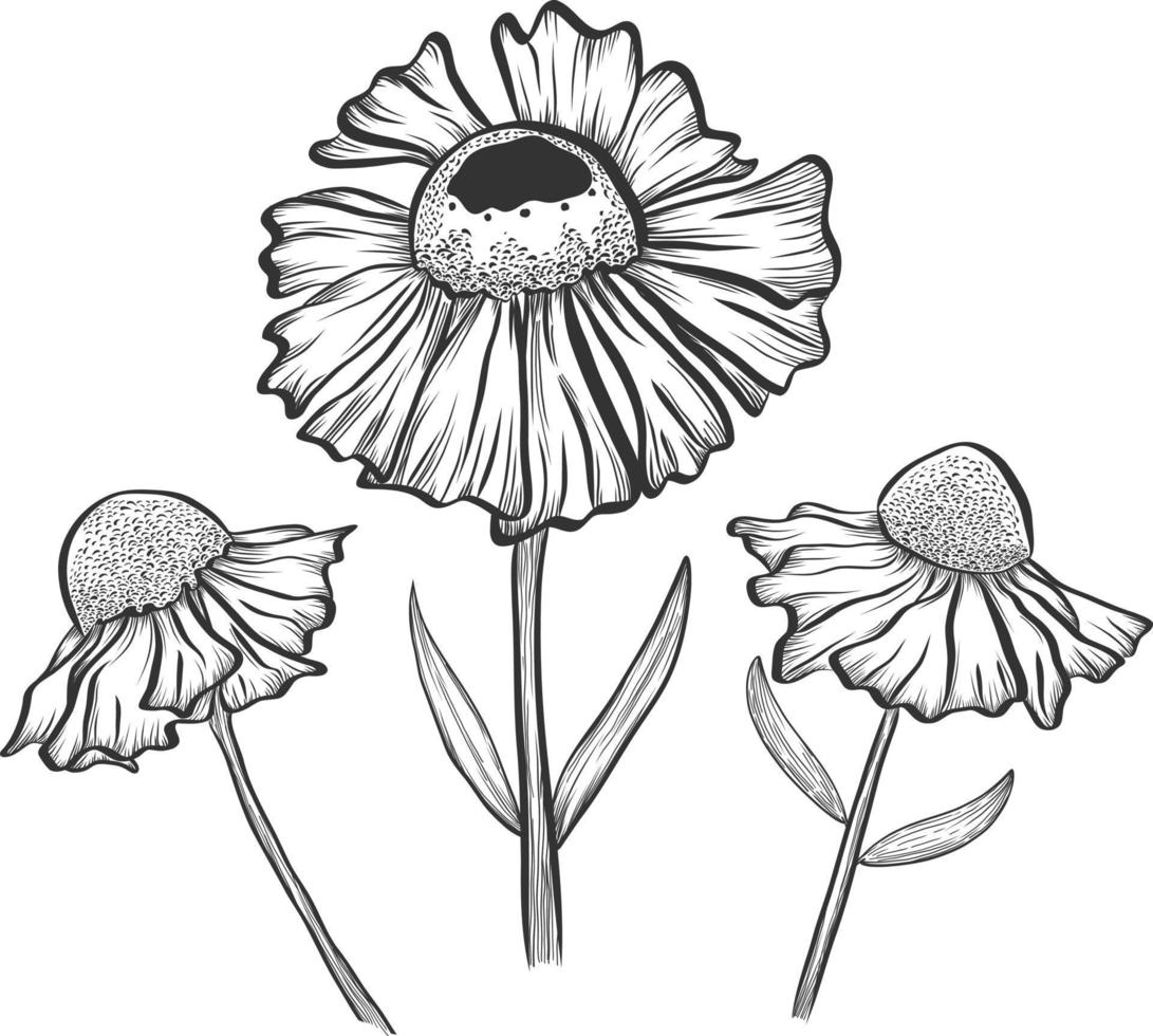 hand drawn sketch flowers vector illustration