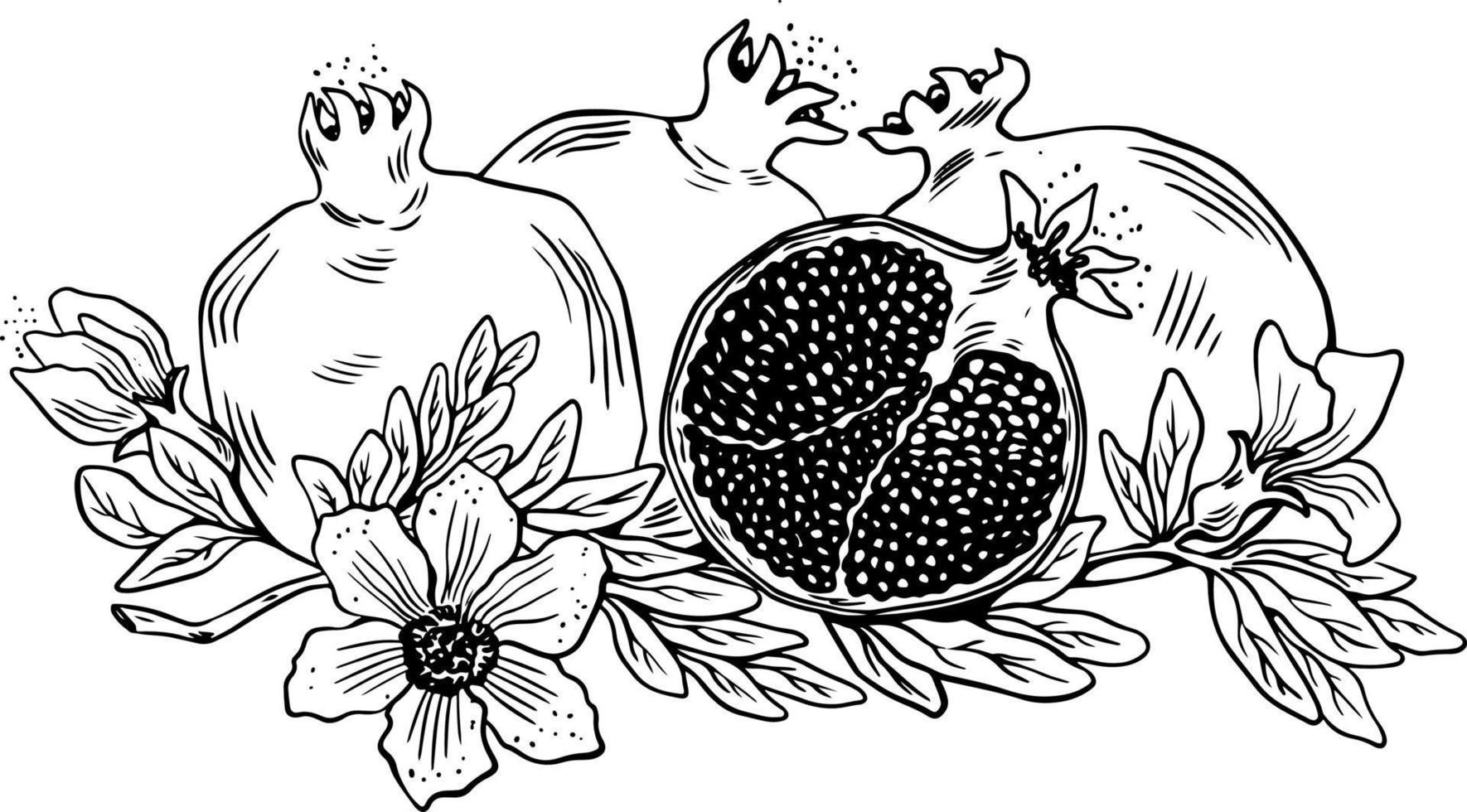Lineart of three whole and one sliced pomegranate with leaves and flowers black on white background vector