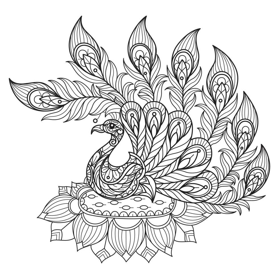Peacock and lotus hand drawn for adult coloring book vector
