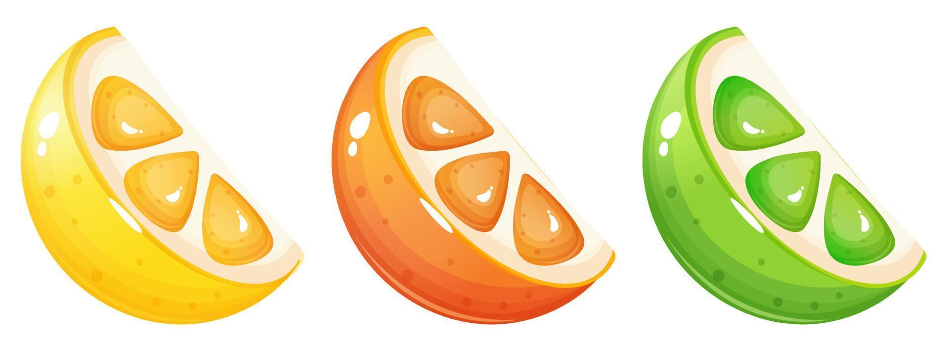 Orange , lime and lemon slices. vector