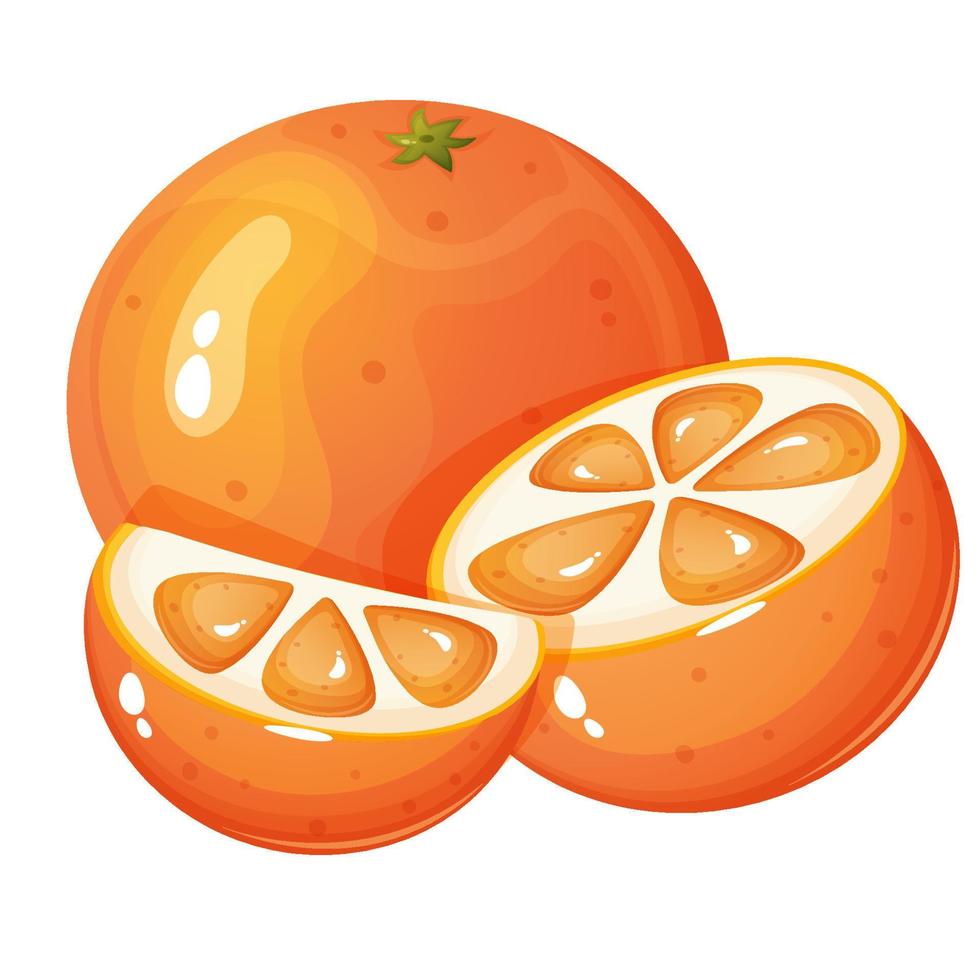 Cartoon style orange with small and big orange slice. vector