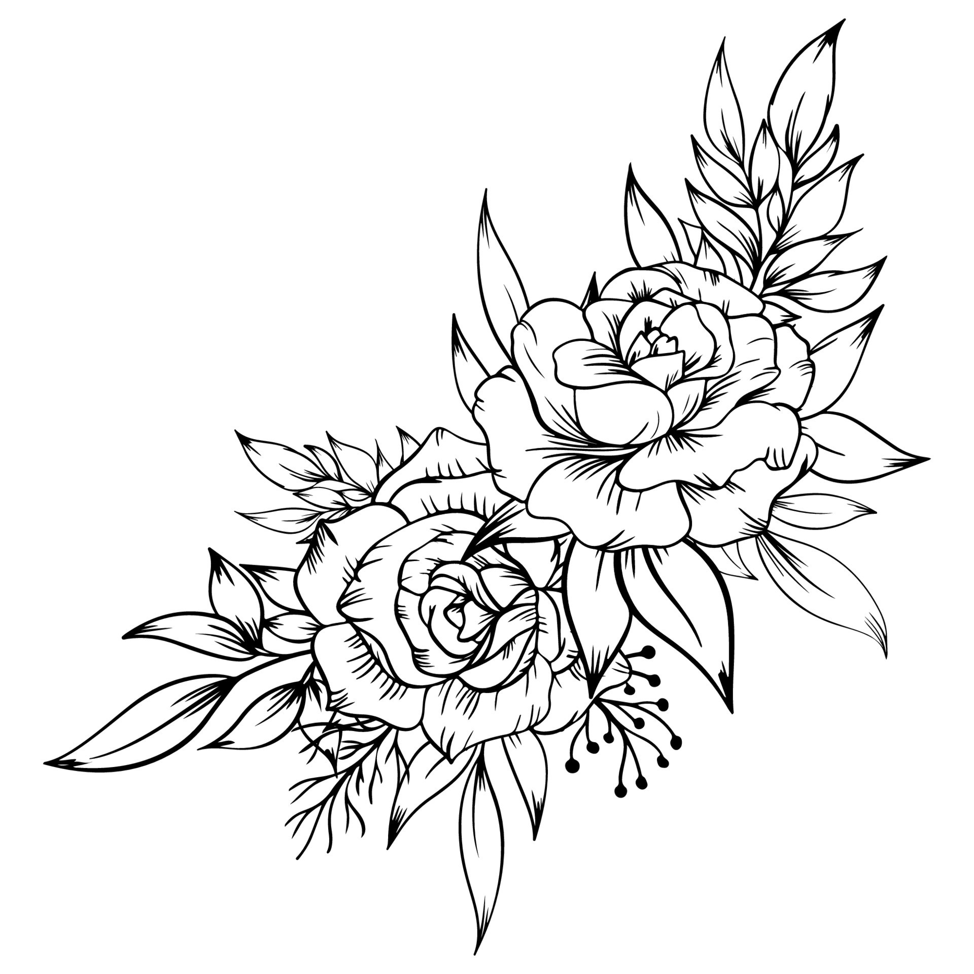 beautiful outline black and white rose and leaves 21627232 Vector Art ...