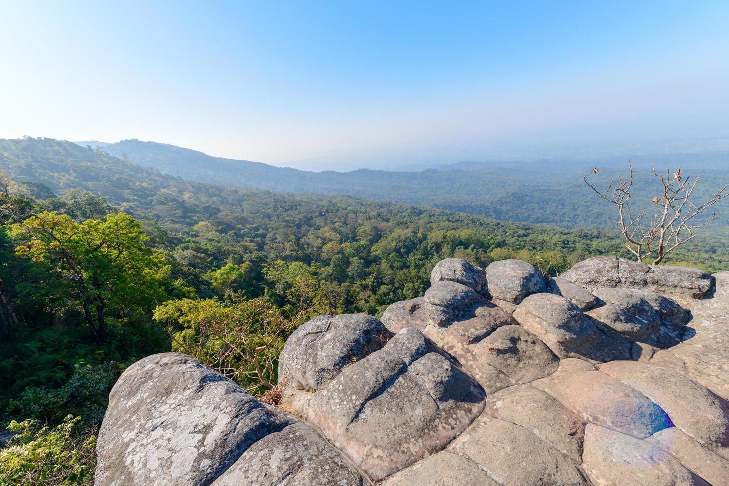 rock y paisaje en phu hin rong kla nacional parque foto