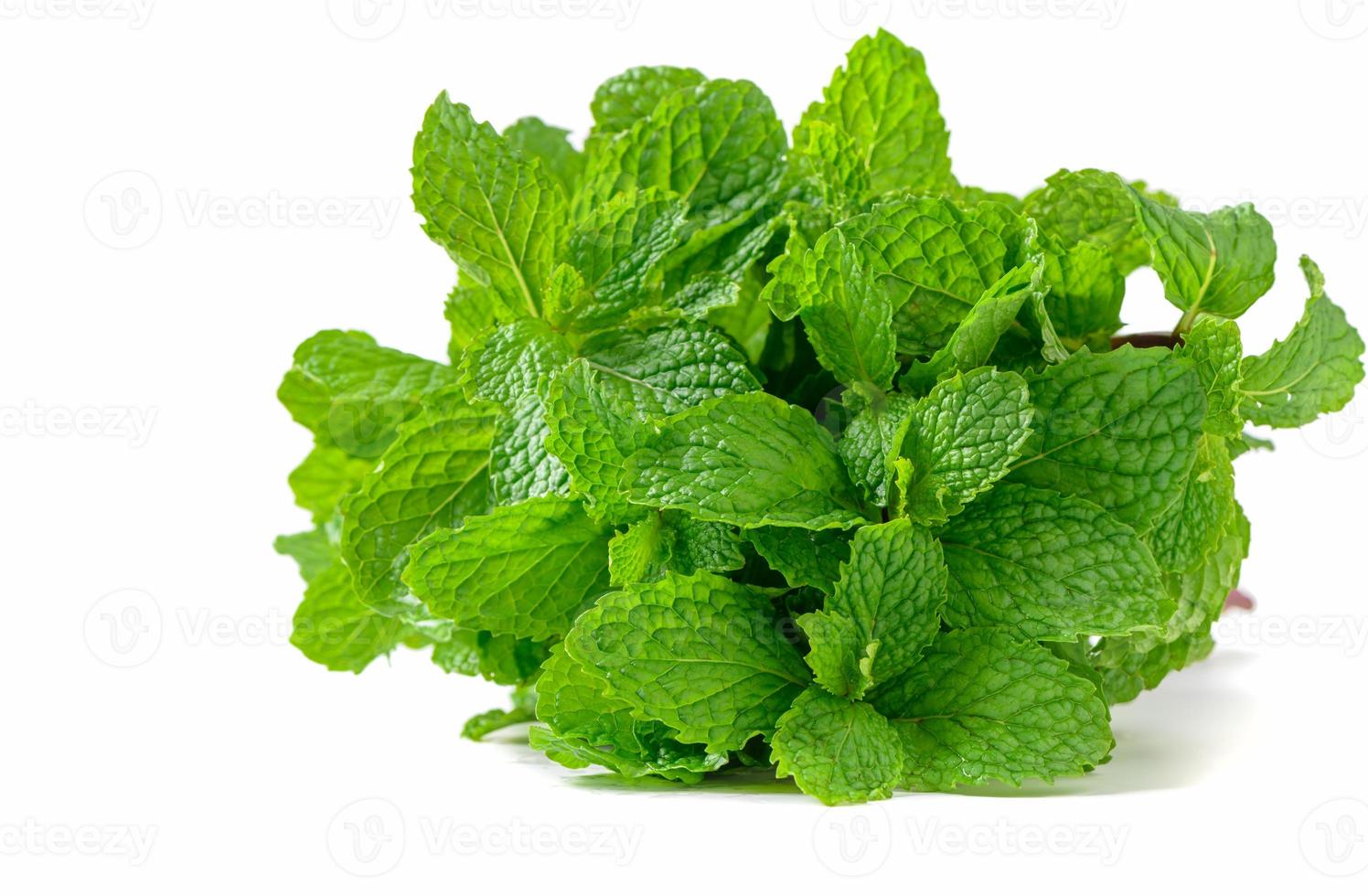 Mint leaves isolated on white background, photo