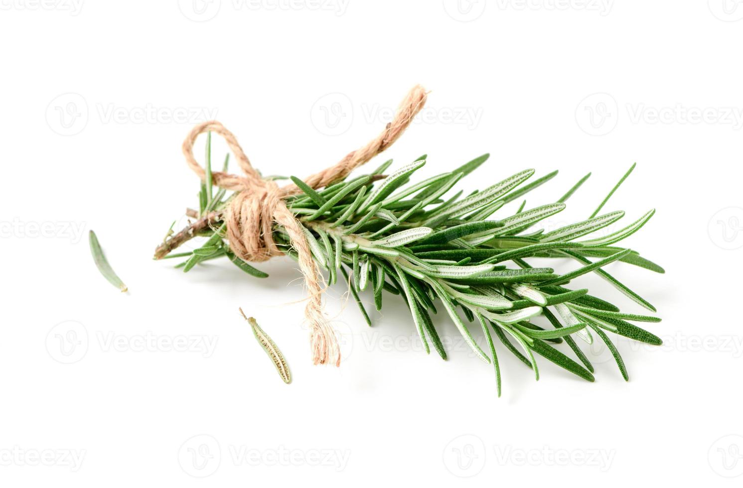 rosemary isolated on white background, photo