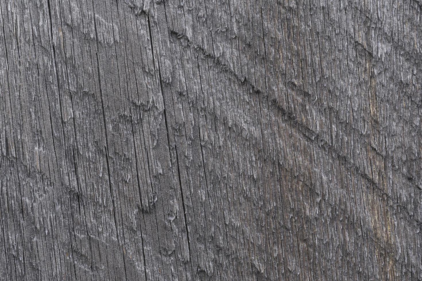 close up of gray rough wooden board background photo