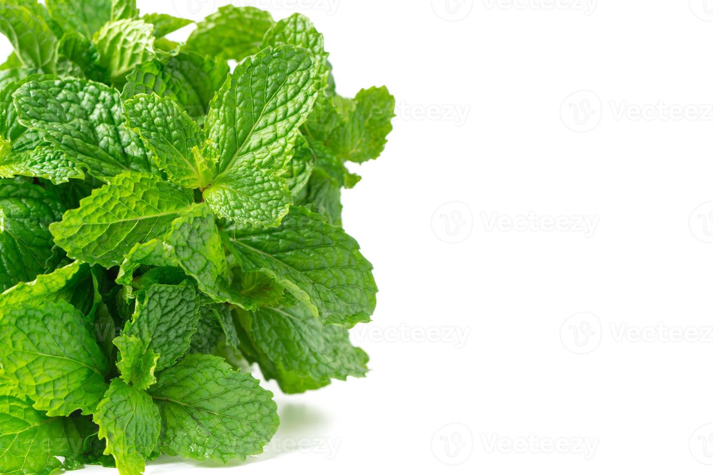 Mint leaves isolated on white background photo