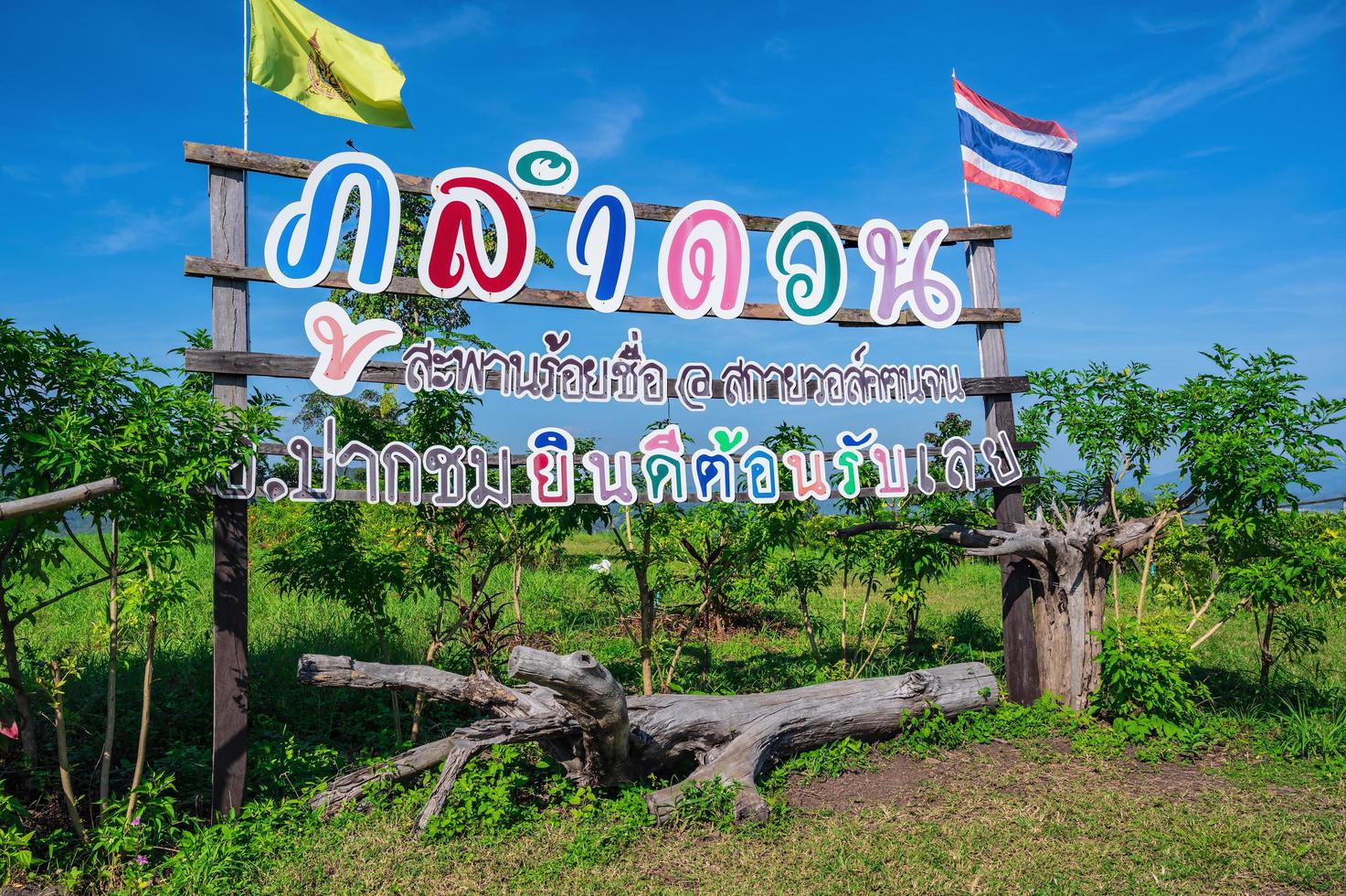 hermosa paisaje ver en phu lamduan a loei tailandia.phu lamduan es un nuevo turista atracción y punto de vista de mekong río Entre Tailandia y loas. foto