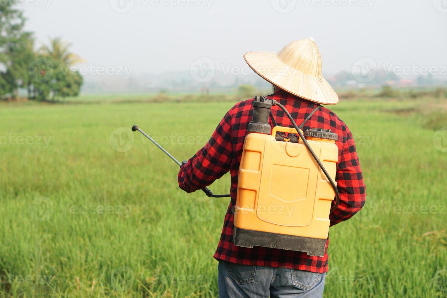 asiático granjero usos herbicidas, insecticidas químico rociar a obtener eliminar de malas hierbas y insectos o planta enfermedad en el arroz campos. porque aire contaminación. ambiental , agricultura productos quimicos concepto. foto