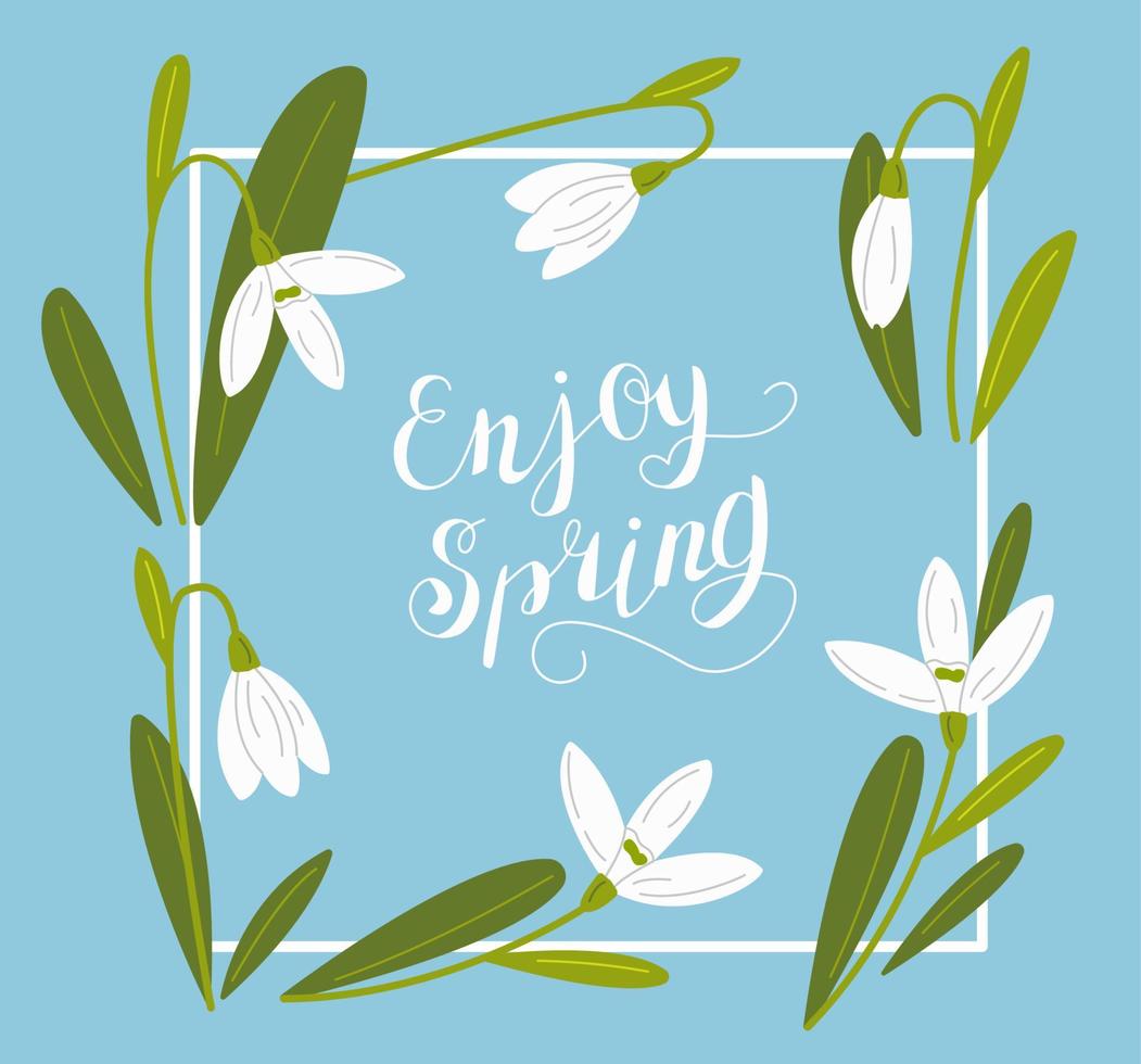 Snowdrop flower background and enjoy spring lettering in a frame. First spring flowers. Vector illustration.