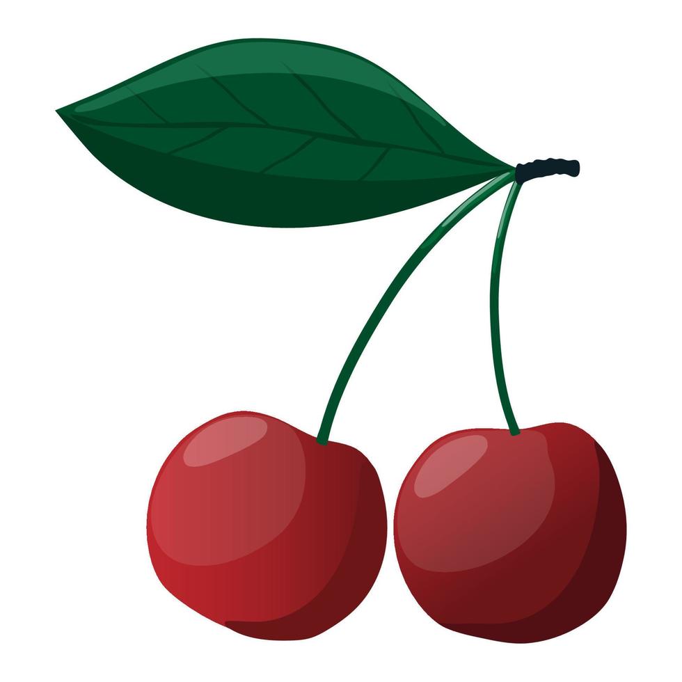 Two ripe cherries with a leaf on a white background, delicious food, vitamins. vector