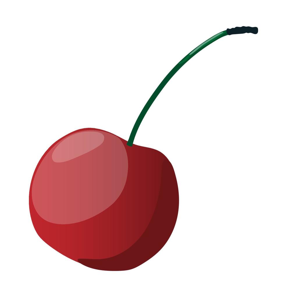 Ripe red cherry on a white background, delicious food, vitamins. vector