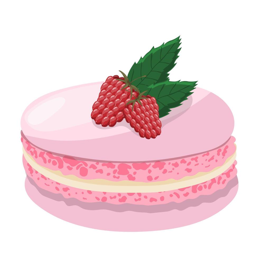 Pink macaroon with raspberries on a white background. Delicious dessert, pastries, cookie, sweet. vector