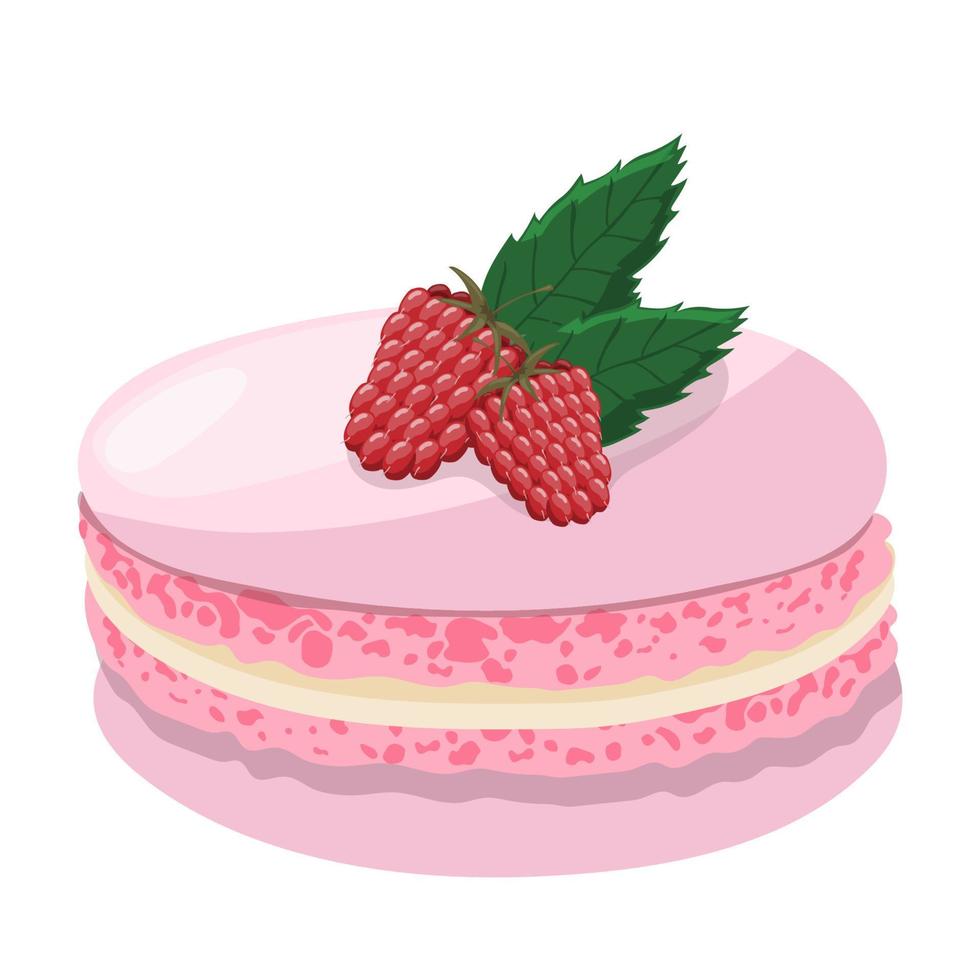 rosado macarrón con frambuesas en un blanco antecedentes. delicioso postre, pasteles, Galleta, dulce. vector