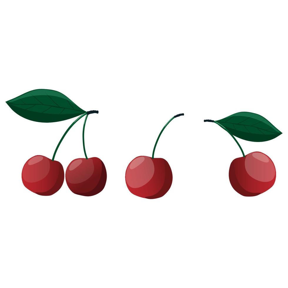 Set of ripe cherries with a leaf on a white background, delicious food, vitamins. vector