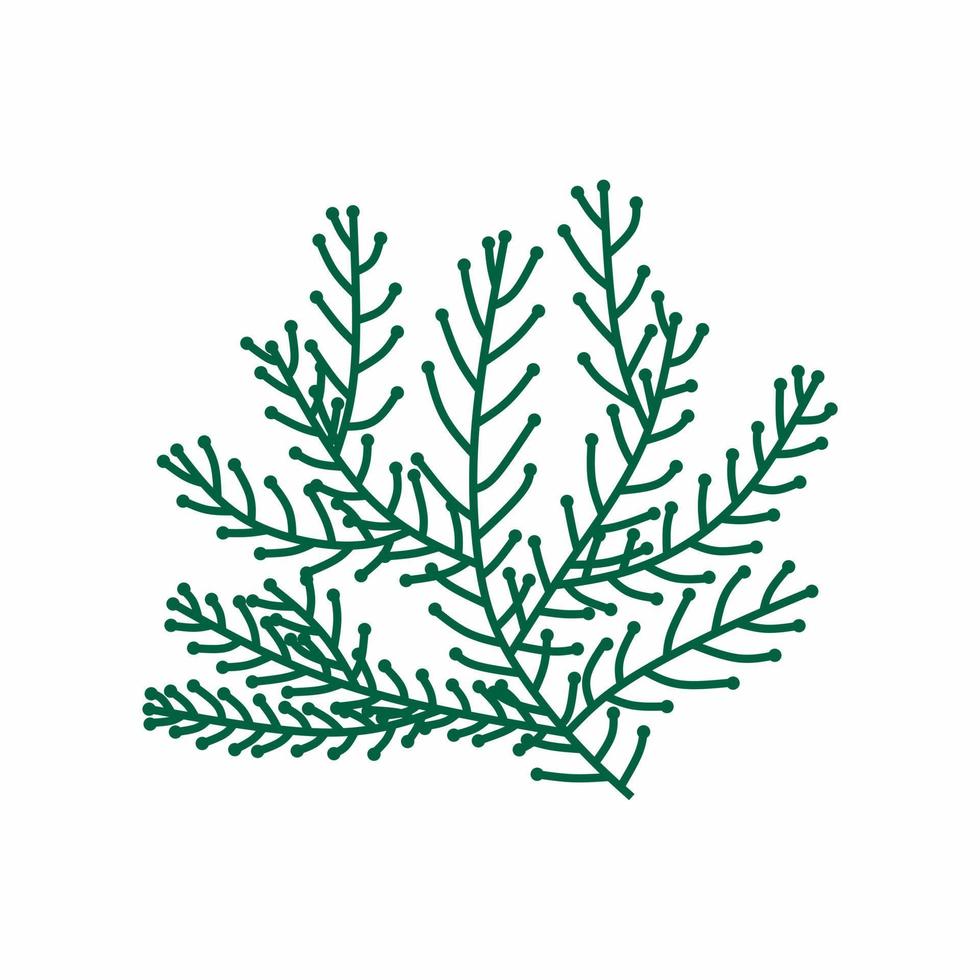 Seaweed green Vector isolated on white background.