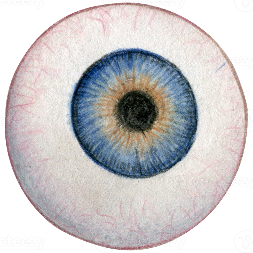 watercolor hand drawn eye ball png