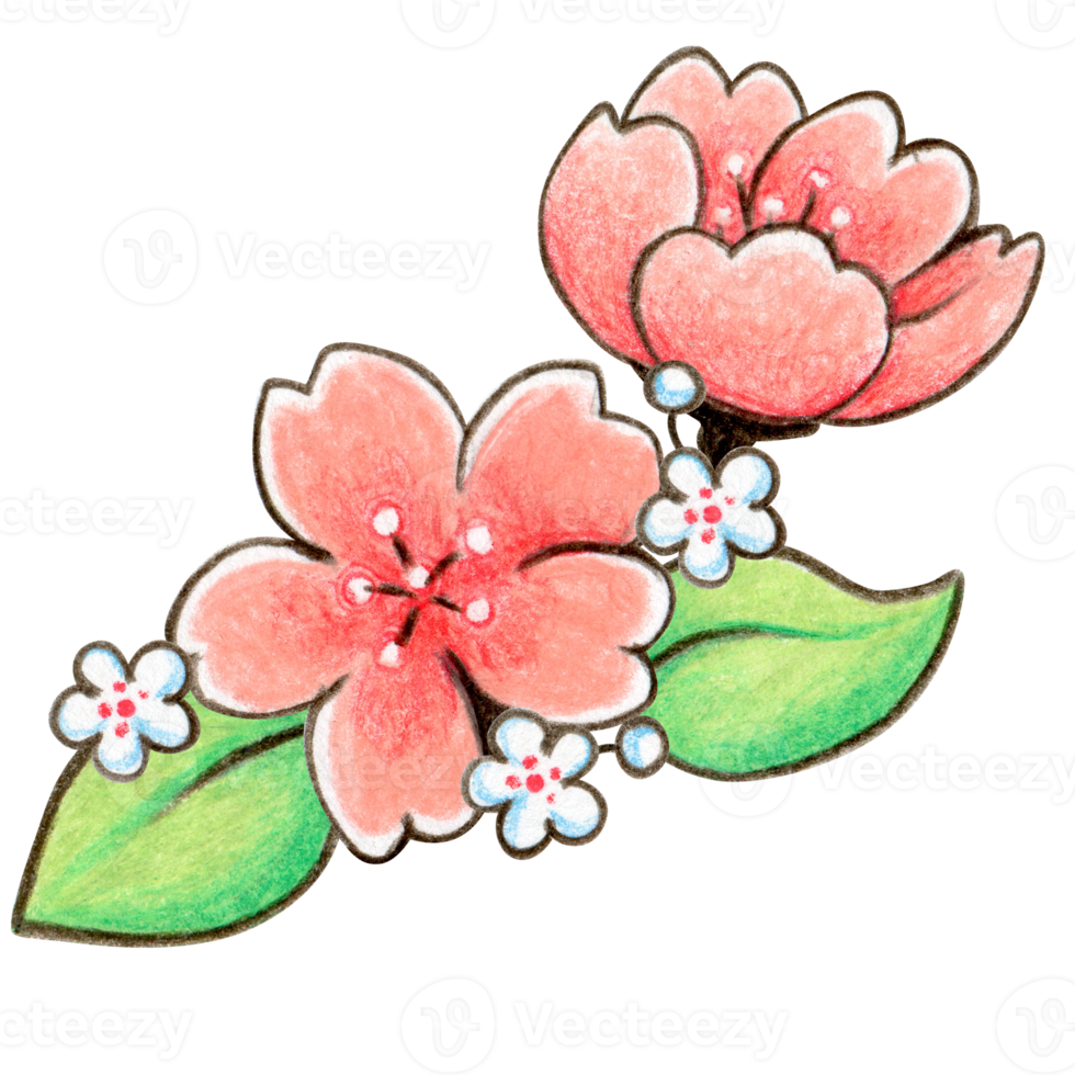 waterverf kers bloesem decoratie png